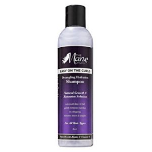 The Mane Choice Detangling Hydration Shampoo